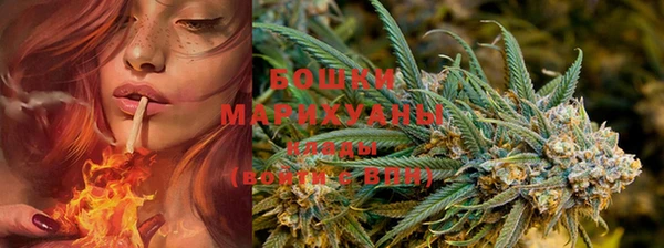 PSILOCYBIN Лиски