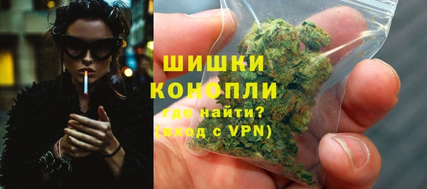 PSILOCYBIN Лиски