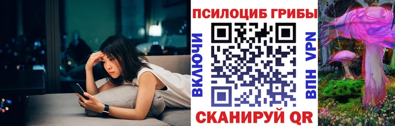мориарти наркотические препараты  блэк спрут tor  Ковров  Псилоцибиновые грибы Psilocybe 